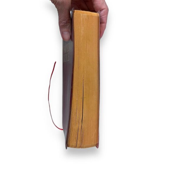 HOLY BIBLE New International Version Zondervan Helps Words Of Christ In RED 1984 - Picture 5 of 15